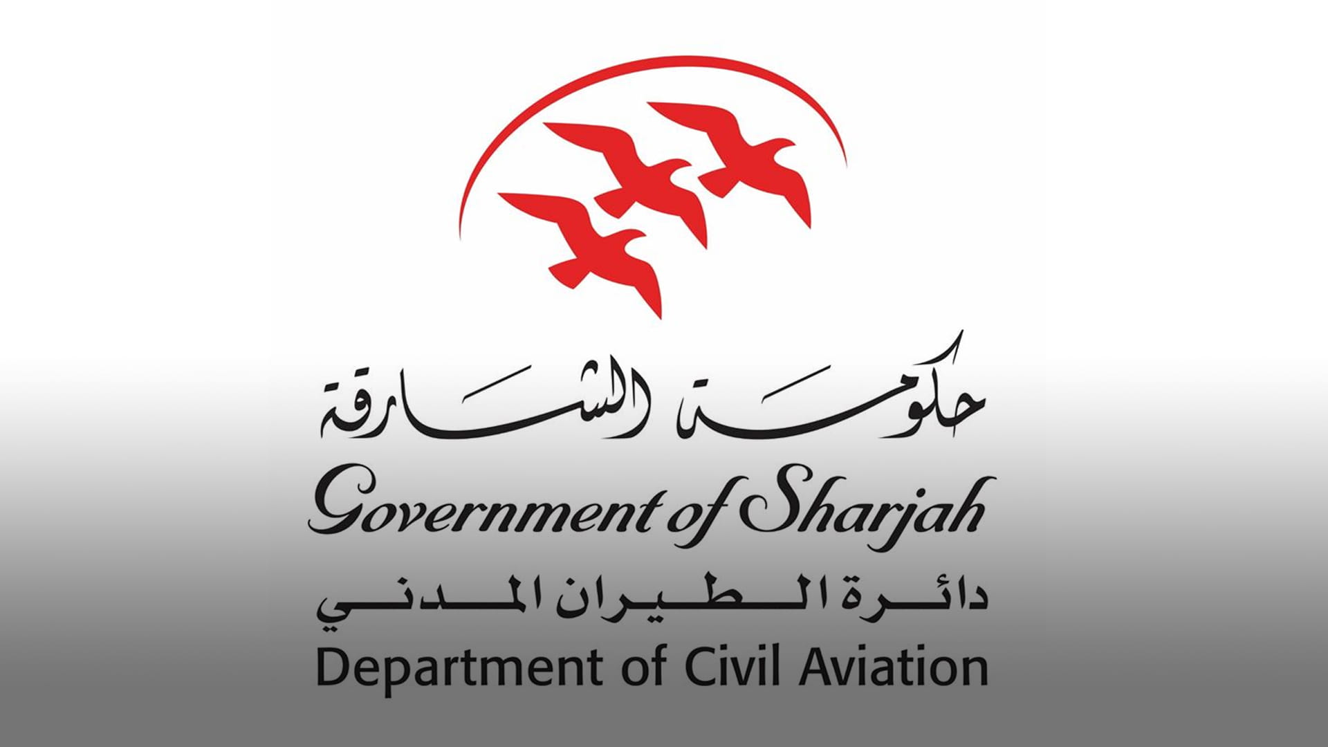 اليوم العالمي للمرأة - تمكين المرأة في مجال الطيران